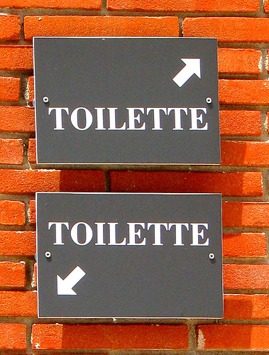 Which toilette is the "best" toilette?