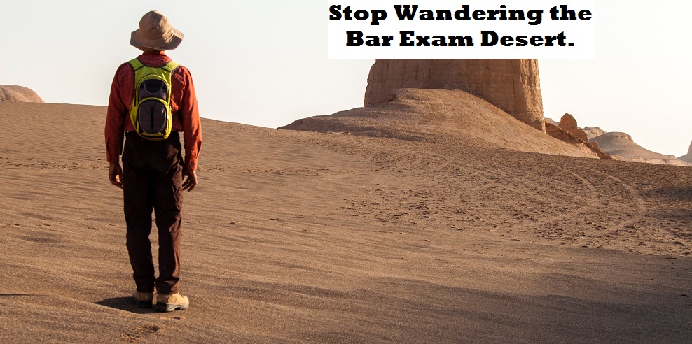 man walks alone through the desert 